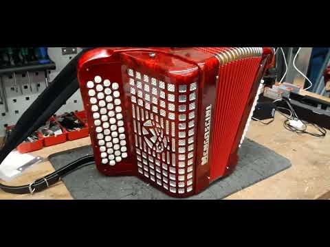 Knopfakkordeon Nr.197