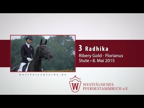 03 Radhika  Stute v. Ribery Gold - Florianus