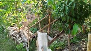 เที่ยวสวนอินดี้ ตอนที่สอง