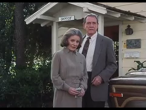 Luchando contra el tiempo: La búsqueda de Sarah (1996)