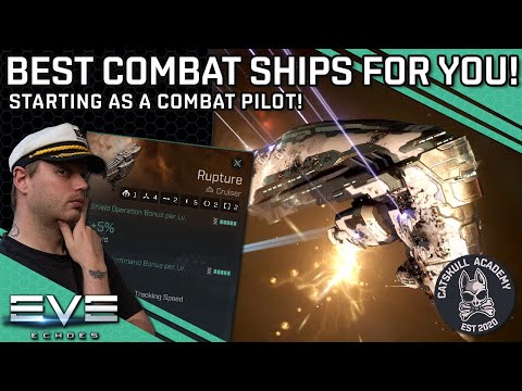 Which Combat Ship Is Better For You?! || EVE Echoes