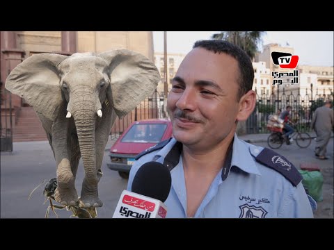 فوازير رمضان| ما هو الفرق بين الفيل والنملة ؟ 