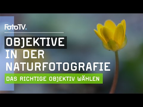 Naturfotografie-Tipps | Das RICHTIGE Objektiv für atemberaubende Naturfotos 🌺 | FotoTV.de