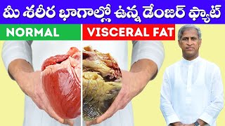 How Can Reduce Visceral Fat ? | ( Hidden Fat ) | Dr Manthena Satyanarayana Raju Videos