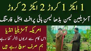 Huge Profitable Farming in Pakistan|Seedless Lemon Farming|Asad Abbas chishti
