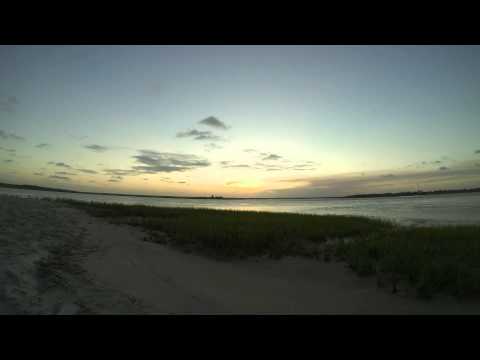 Sunssets Whit Delfins