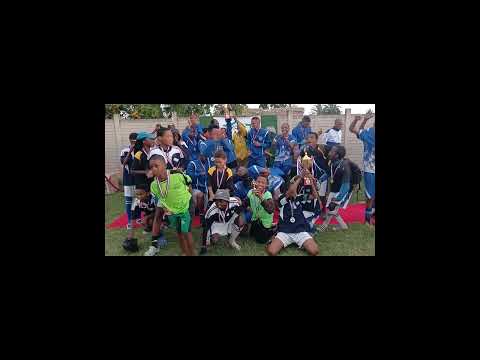 3 categories of champions #football #cute #culture #soccer #sports #games #happy #humor #video