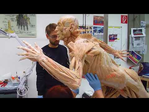 download lagu mp3 mp4 Bodyworld, download lagu Bodyworld gratis, unduh video klip Bodyworld