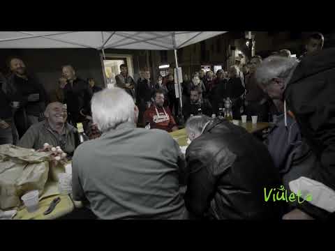 Viuleta 2021 - Cantori di Mezzenile (TO)