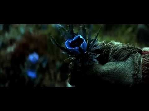 Christopher Nolan Mash-up - Kattoo - Violin