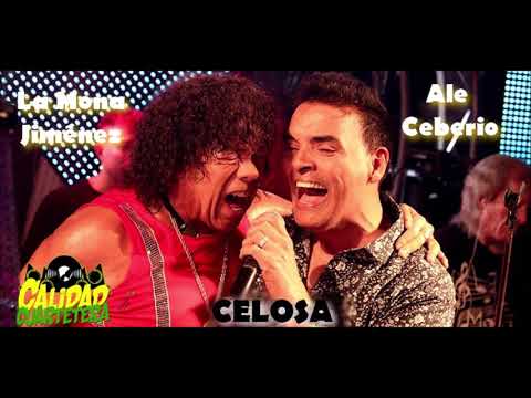 Ale Ceberio Ft  La Mona Jiménez - Celosa (Audio)