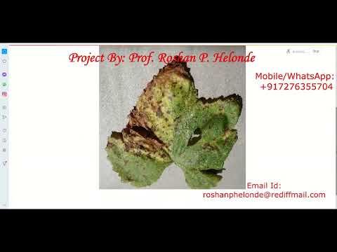 Grape Leaf Disease Prediction Using Image Processing Python Project With Source Code