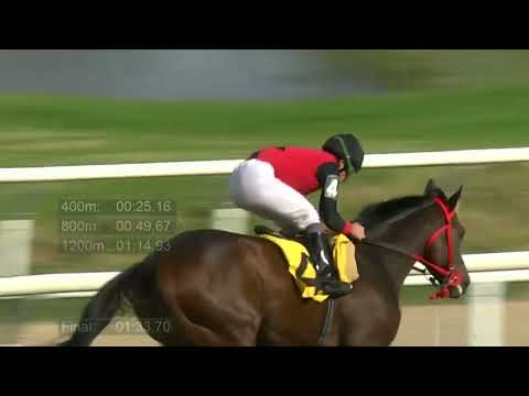 230331 c05 - WADOR - HIPODROMO LAS PIEDRAS