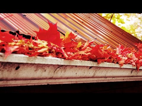 LeafFilter of St. Louis - Maryland Heights, MO 63043 - (314)334-0174 | ShowMeLocal.com