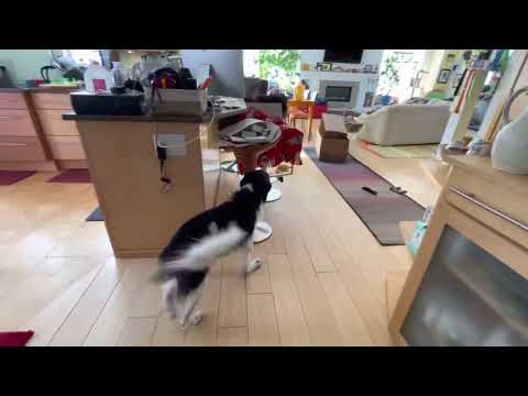 S16W1 Rimke big space little odor