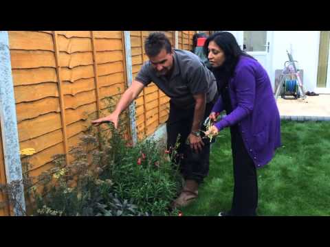 Antony's Garden on a Roll Customer Visit