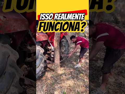 Você já viu isso antes? 🤔 @jornadanorodotrem #shorts #curiosidades #processo