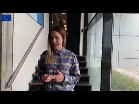 About Lightspace NGEAR 3D