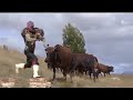 Mahlanya Nakeng Tsa Poho Music Video