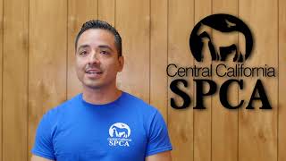 Big Changes Coming to CCSPCA