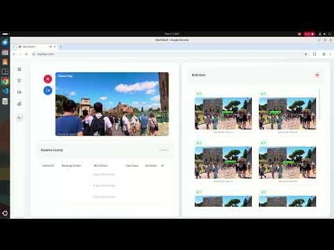 DetrWatch Demo