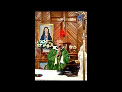 Czatachowa 18.06.2023 - Kazanie o.Daniela - Bądźmy wsparciem dla naszych zranionych braci i sióstr