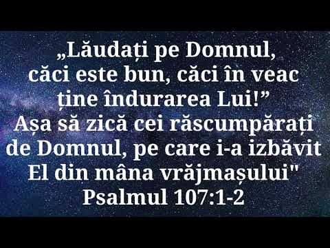 Lăudaţi-L pe Domnul măririi | Nicolae Moldoveanu | Cântările Harului