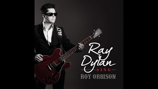 Ray Dylan- handle me with care