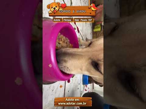 Vídeo de GORDO & MADU 