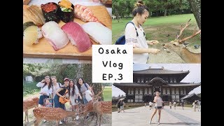 【VLOG7】日本大阪自助旅行Osaka Trip EP.3：黑門市場、奈良｜Regina Ho