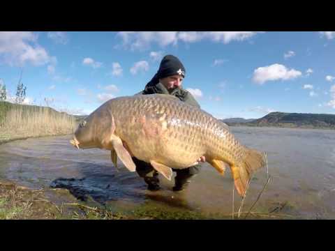 Extreme carp fishing Lac du Salagou