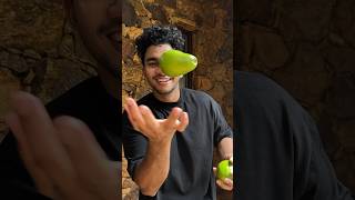 Avocado Shake | Wild Cookbook