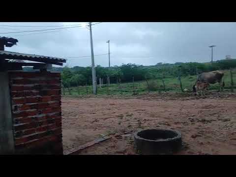 Tempo em Quixelô Ceará inicio de manhã 28/02/2026