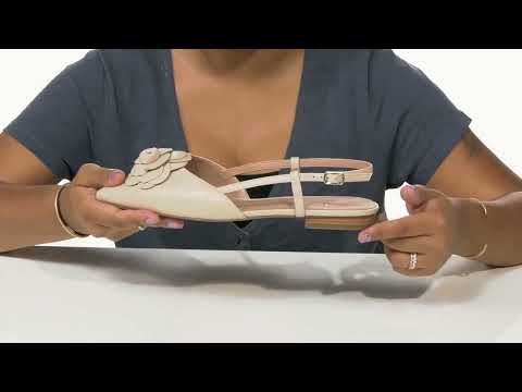 LINEA Paolo Cammy SKU: 9780042