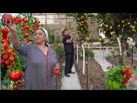 , title : 'Tomato Greenhouse Fairy Garden Ideas!'