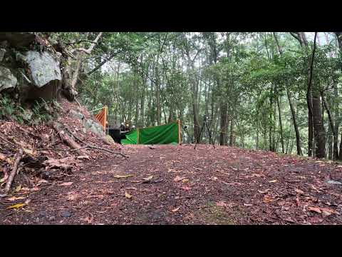 野放時施以負面制約，讓黑熊與人保持距離，平安返回山林-1