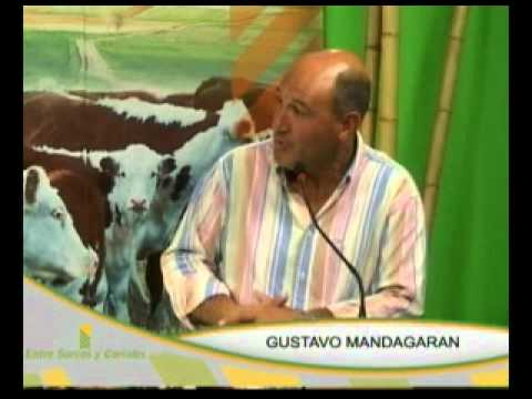 Entre Surcos y Corrales - Programa 47 - Parte 2 de 5