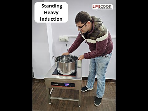 Bulk Cooking Induction Stove