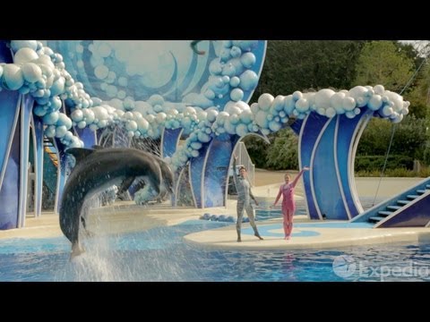 奧蘭多 - 城市視頻指南 (Orlando - City Video Guide)