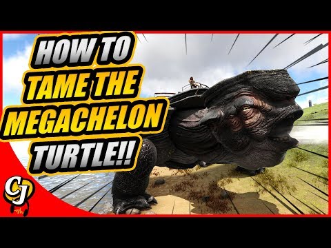 HOW TO TAME THE GIANT TURTLE THE MEGACHELON IN ARK GENESIS!! || ARK GENESIS!