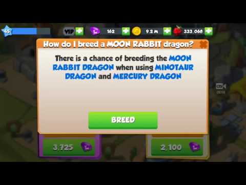 Dragon Mania Legends- How to breed the Moon Rabbit Dragon
