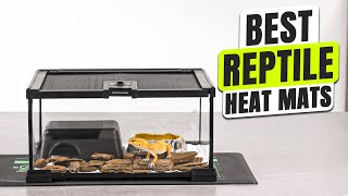 3 BEST Reptile Heat Mat
