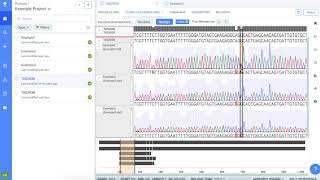 Benchling Tutorial for Students