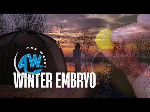 Winter Embryo - Una Sessione Invernale