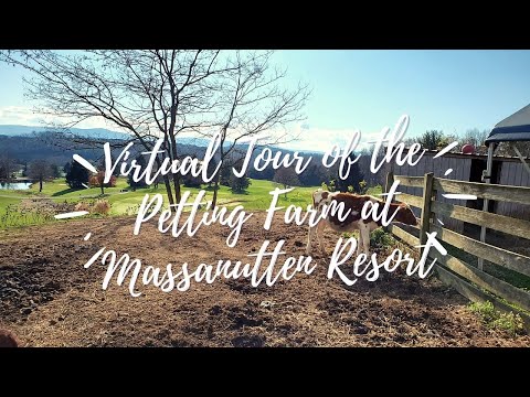 A Virtual Tour of the Petting Farm at Massanutten Resort