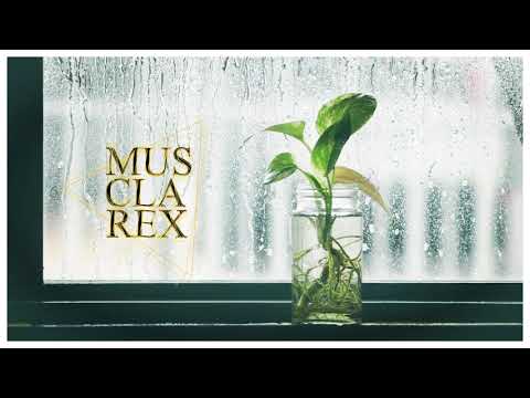 Raflum - 林泉吟 Melodies Of Forest And Springs - Full Album
