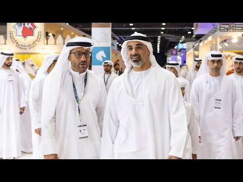 img-video