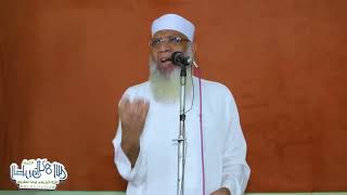 3 سليمان عليه السلام والهدهد | الشيخ شوقي عبد الصادق image