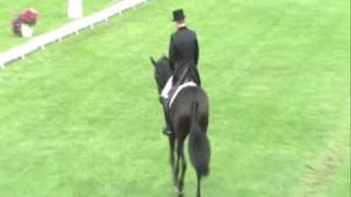 Video von Karascada M 3