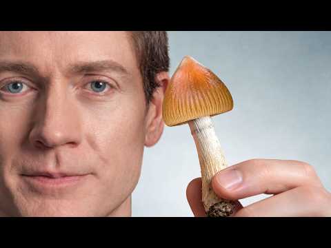 @BryanJohnson - "I Did Mushrooms for Science, Pt. 2"